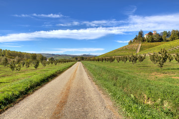 Fototapeta na wymiar Droga przez góry i pola. Piemont, Włochy.
