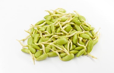 Sprouted mung beans