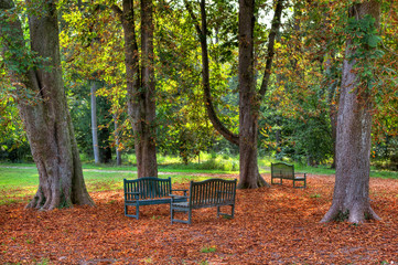 Three benches in the autumnal park.