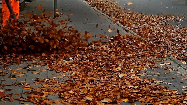 street cleaning with leaf sucker