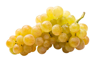 White grape (riesling) fully isolated