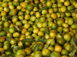 Frisch geerntete Mandarinen