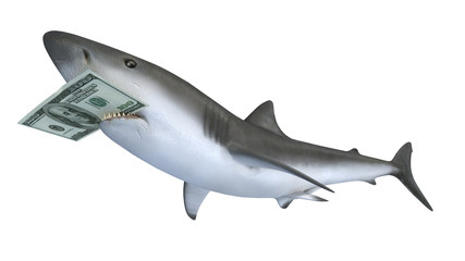 shark biting a dollar banknote