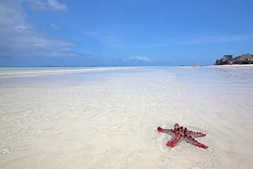 Foto auf Acrylglas Nungwi Strand, Tansania Strand von Sansibar