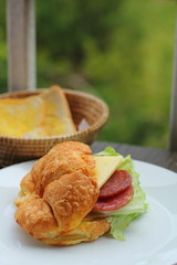 Hamburger in garden