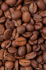 coffee bean background