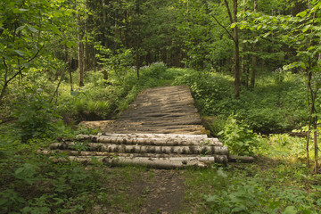 The timbered bridge in wood.