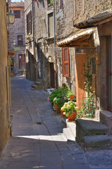Fototapeta premium Alleyway. Bagnaia. Lazio. Italy.
