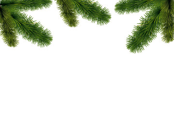 Hintergrund Tannenzweig oben