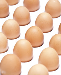 eggs