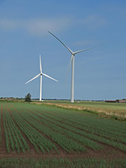 Wind turbine farm in the fens.