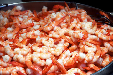 Shrimps