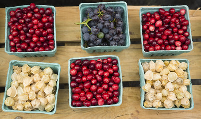 For Sale at the Farmer Market