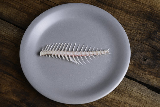 flat bone