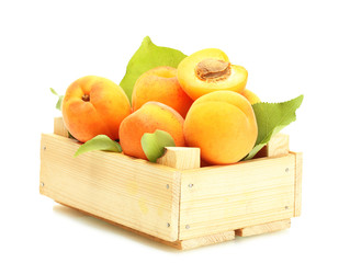 ripe apricots with green leaves in wooden box isolated on white