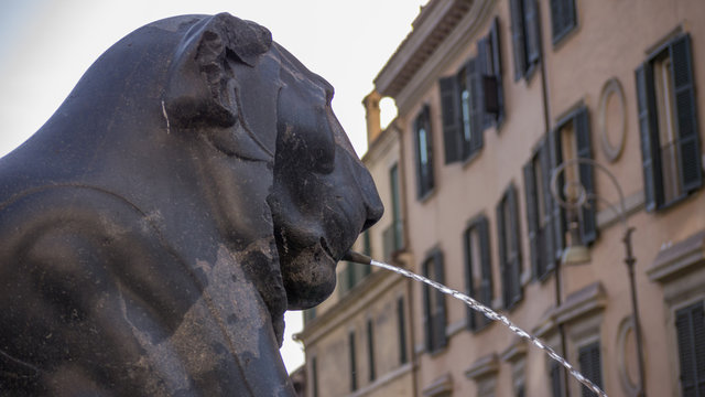 Roma, Campidoglio, un leone della cordonata
