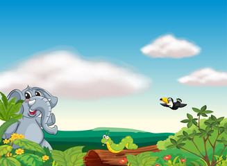 an elephant, an insect and a bird