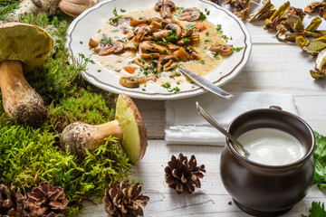 Forest mushroom soup and ingredients