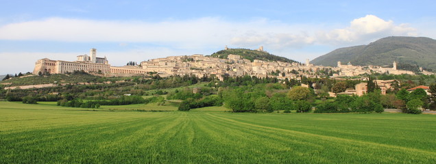 Panorama of Assisi - obrazy, fototapety, plakaty