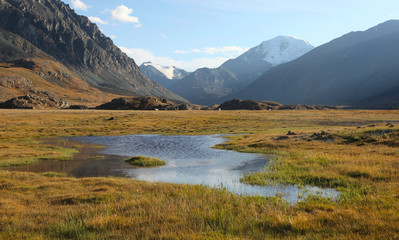 Siberian Alpine Tundra - 46150517