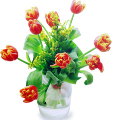 tulips in a vase on a white background