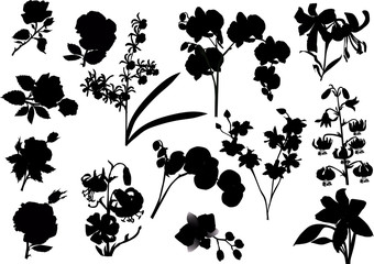 collection of black isolated flowers