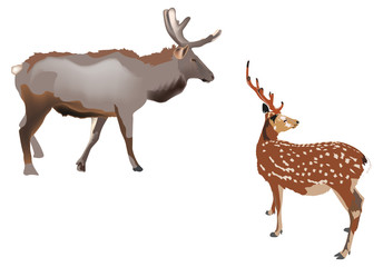 two isolated color deers