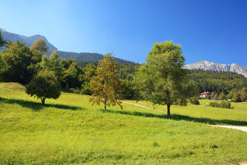 Fototapeta premium Alpine landscape