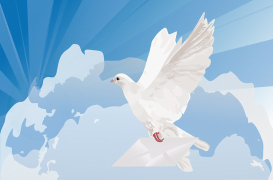 pigeon and mail on sky background