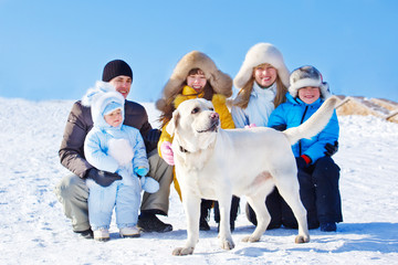 Winter labrador dog