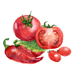 tomato. watercolor painting on white background - 46156580