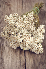 bunch of flowers on a wooden background
