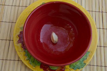Red ceramic bowl on yellow plate