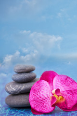 blue sky, balanced stones and orchid
