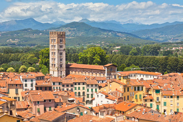 Fototapeta premium View over Lucca, Tuscany town