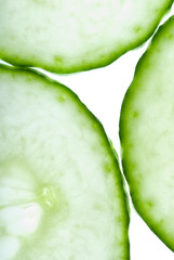 Cucumber closeup