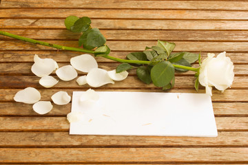 blank letter with rose