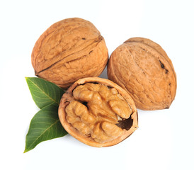 walnuts with leafs