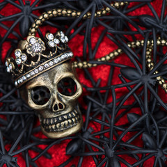 black spider and beetle with skull on red