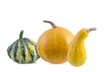 Various types of pumpkins