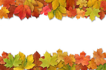 Herbstblätter