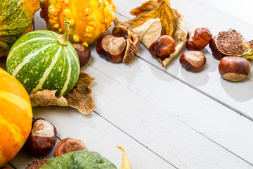 Autumn harvest on the wooden floor