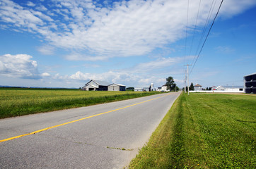 Rural road and farms - 46173378