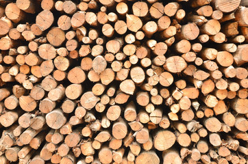 Pile of wood logs