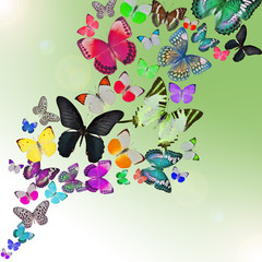 Obraz na płótnie Canvas Colorful background with butterfly