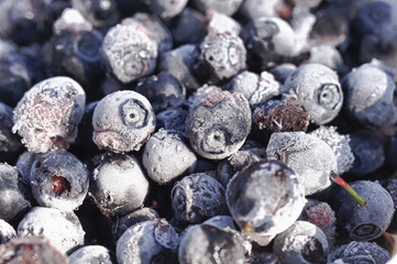 Frozen Bilberries Close-Up - HDR Image