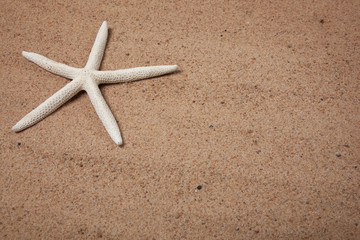 Fototapeta na wymiar Sand background with a starfish