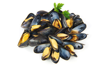 moules bouchot sur fond blanc