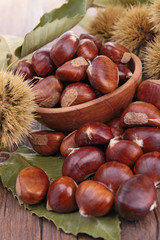 chestnut