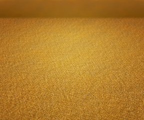 Perspectiv Sand Texture Stage Background